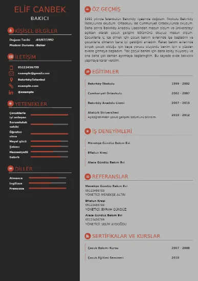 Bakıcı Örnek cv indir